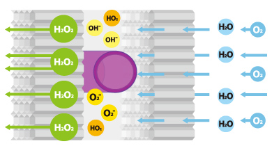 異種光触媒の仕組み